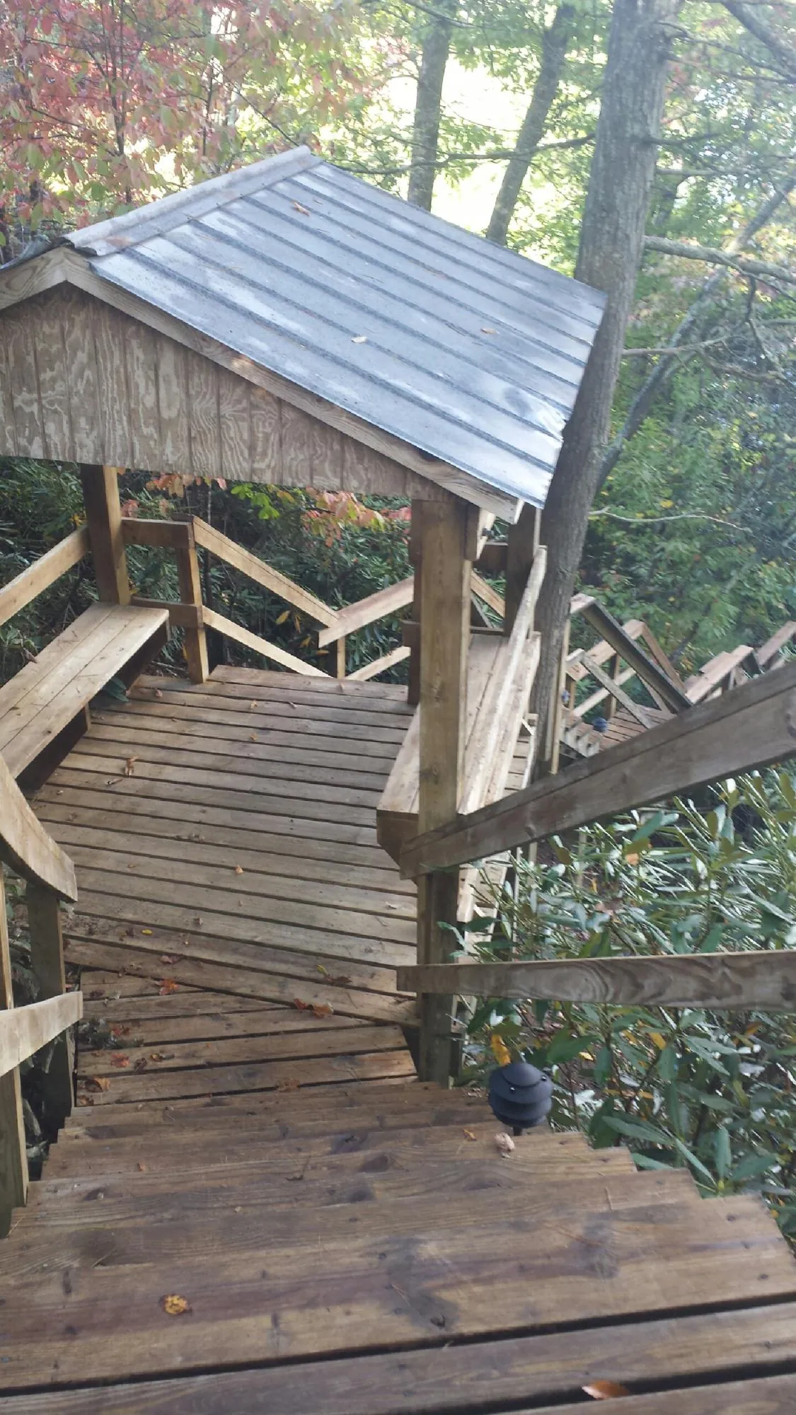 Metal roofed shelter over wooden steps on a wooded walkway — Skylight Repair & Installation work by our crew in Loxley