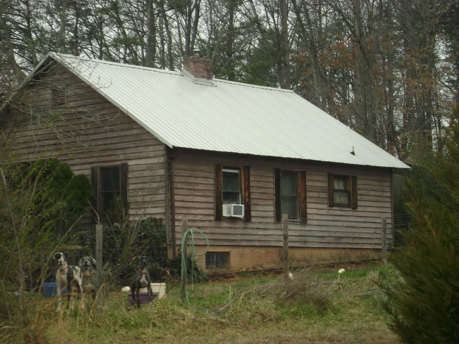 White metal roof on an old wood sided farmhouse, from a Metal Roof Installation job in Loxley